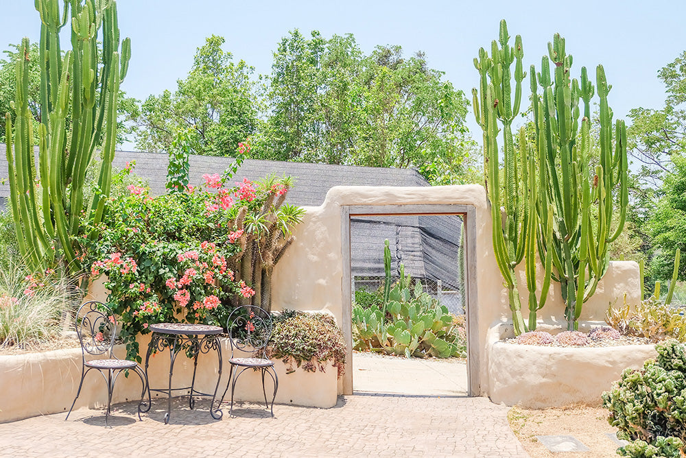 DIY Desert Landscaping: 5 Weekend Projects Using Flagstone & Pavers