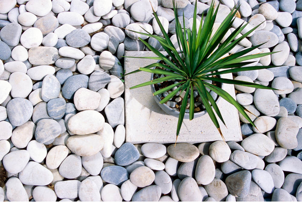 How to Choose the Best Decorative Rock for Desert Landscaping in Las Vegas