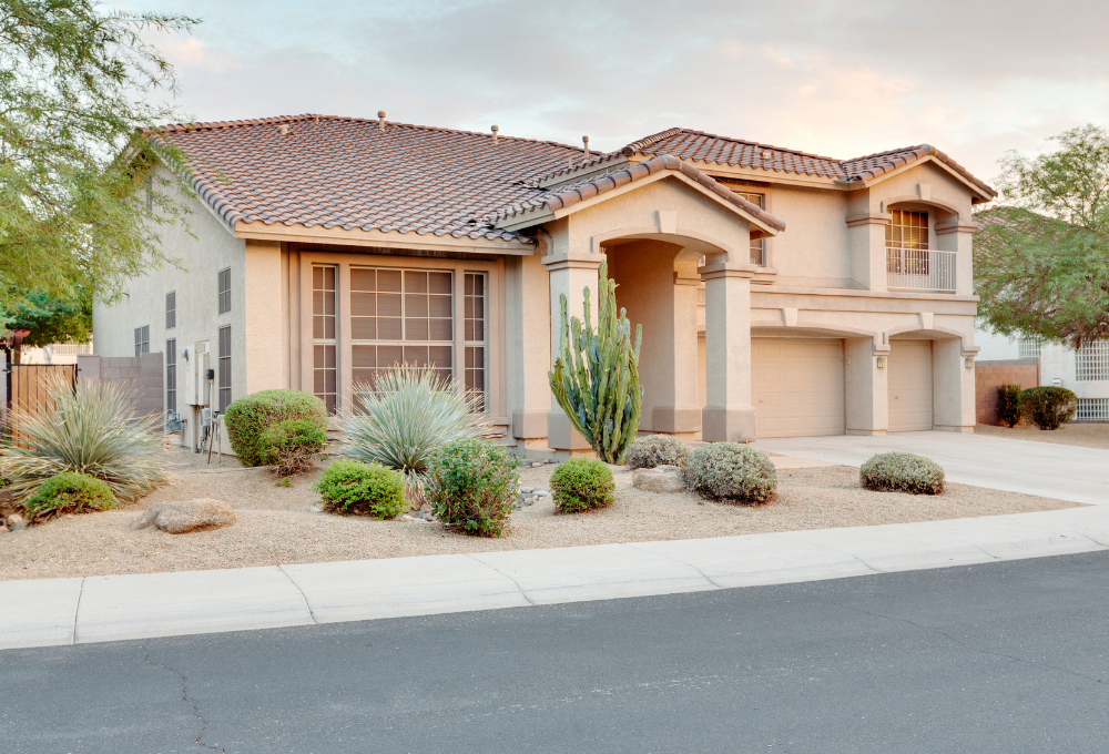 What is the Best Ground Cover for water-efficient yards in Southern Nevada?