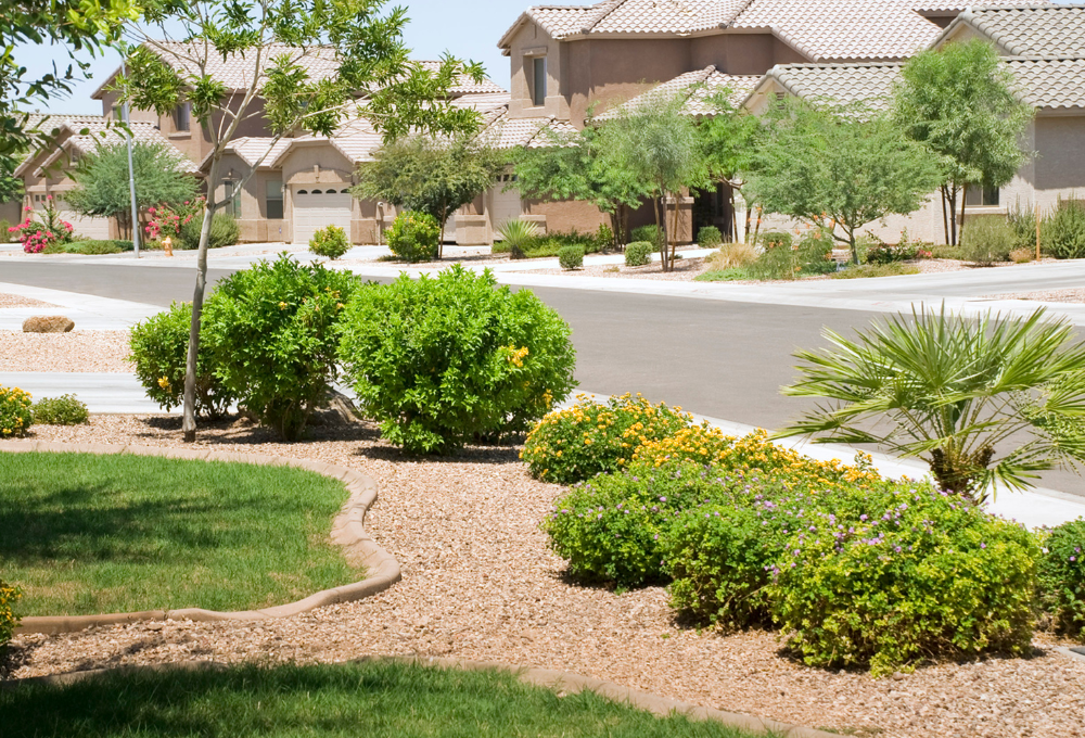Desert Landscaping Rock and Gravel in Centennial Hills NV