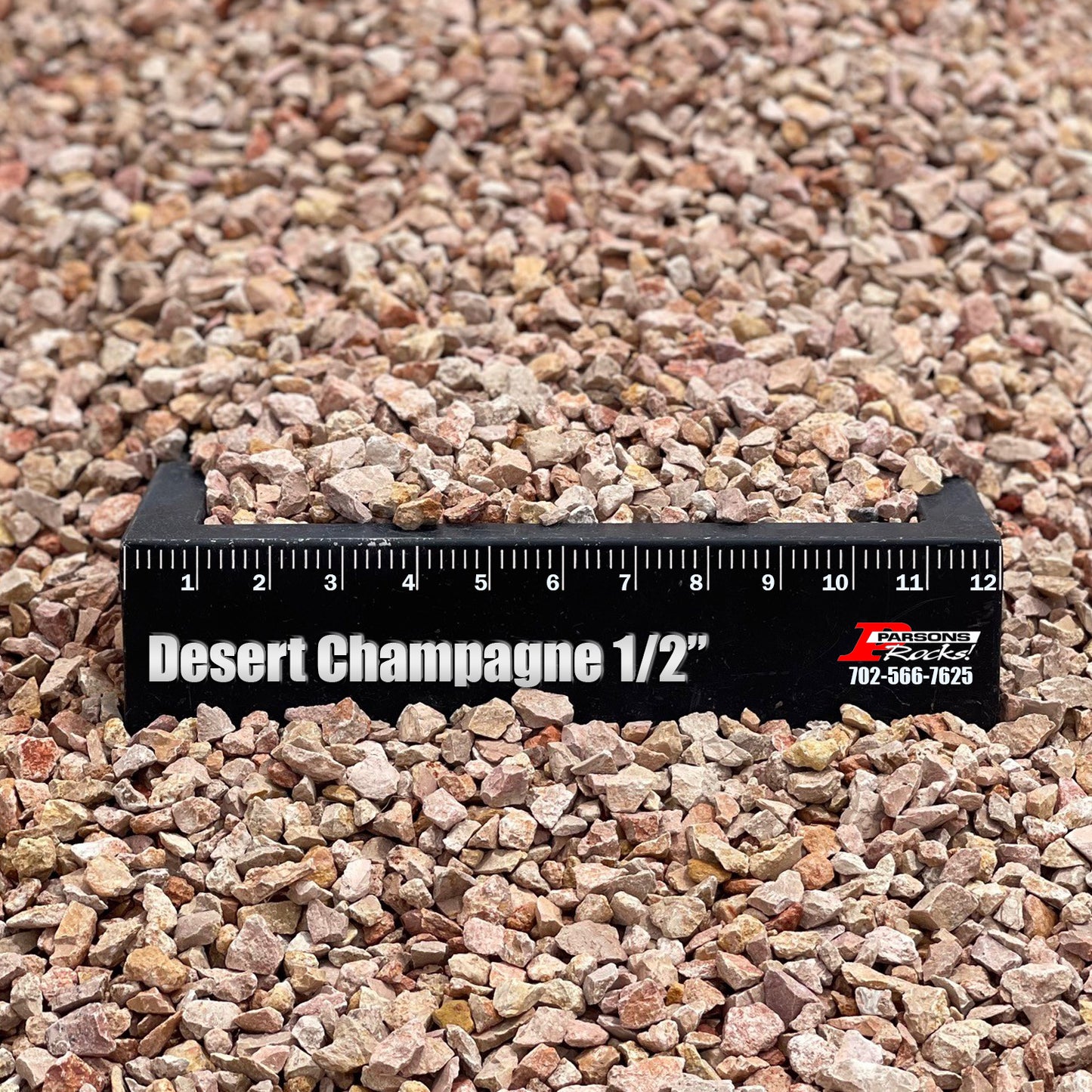 Desert Champagne