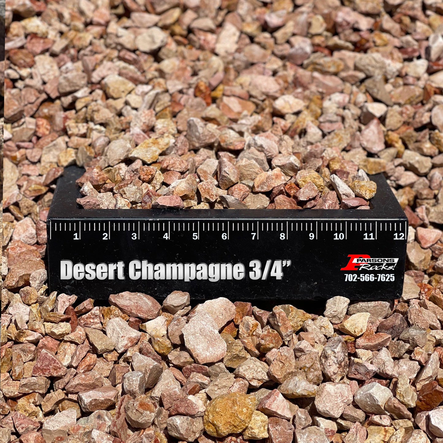 Desert Champagne