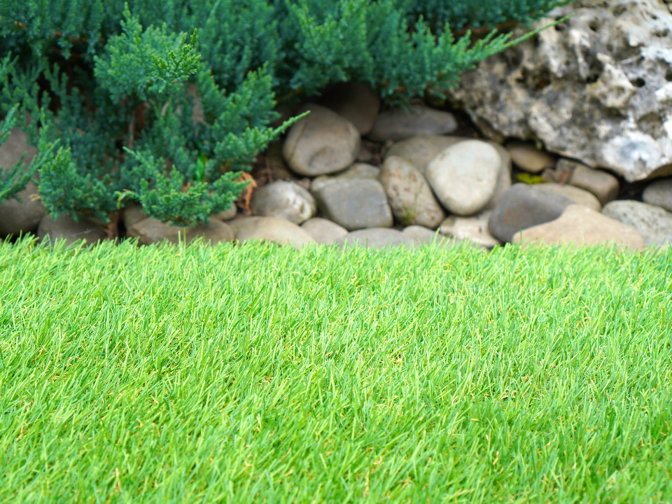 Artificial Turf vs. Decorative Rock: Which Is Better for Southern Nevada Homes