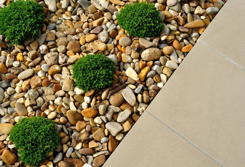 Desert Zen: How to Create a Peaceful Rock Garden That Practically Maintains Itself
