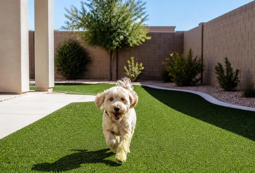 Synthetic Grass for Dog Runs and Pet Areas in Henderson NV