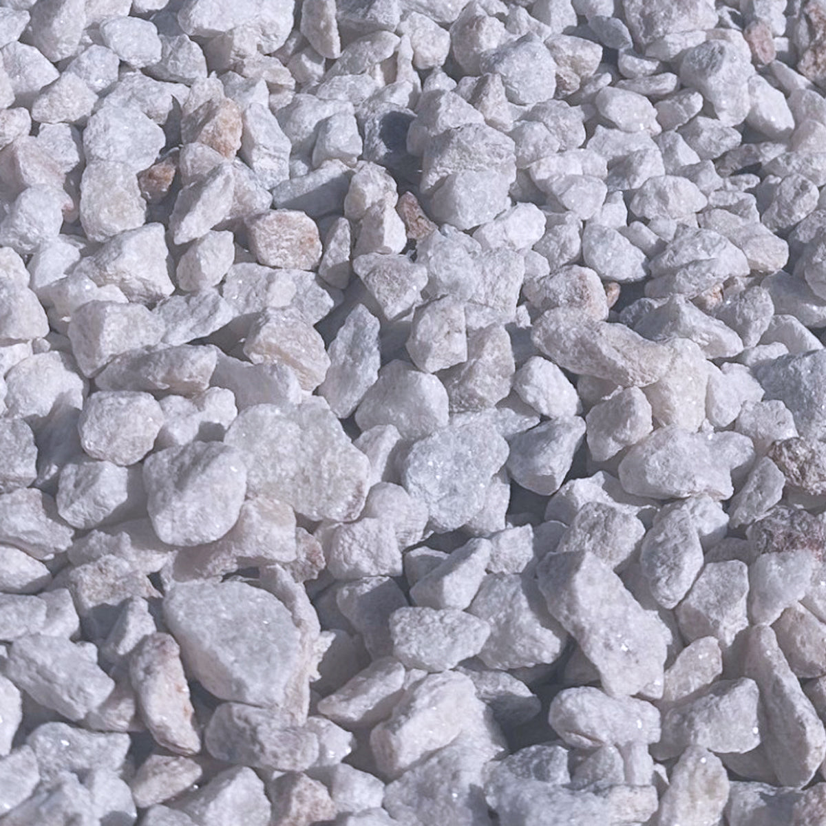 Alpine White