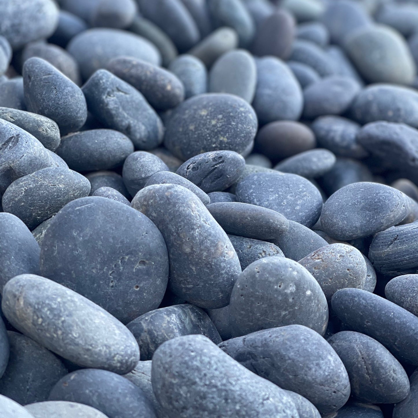 Mexican Beach Pebbles