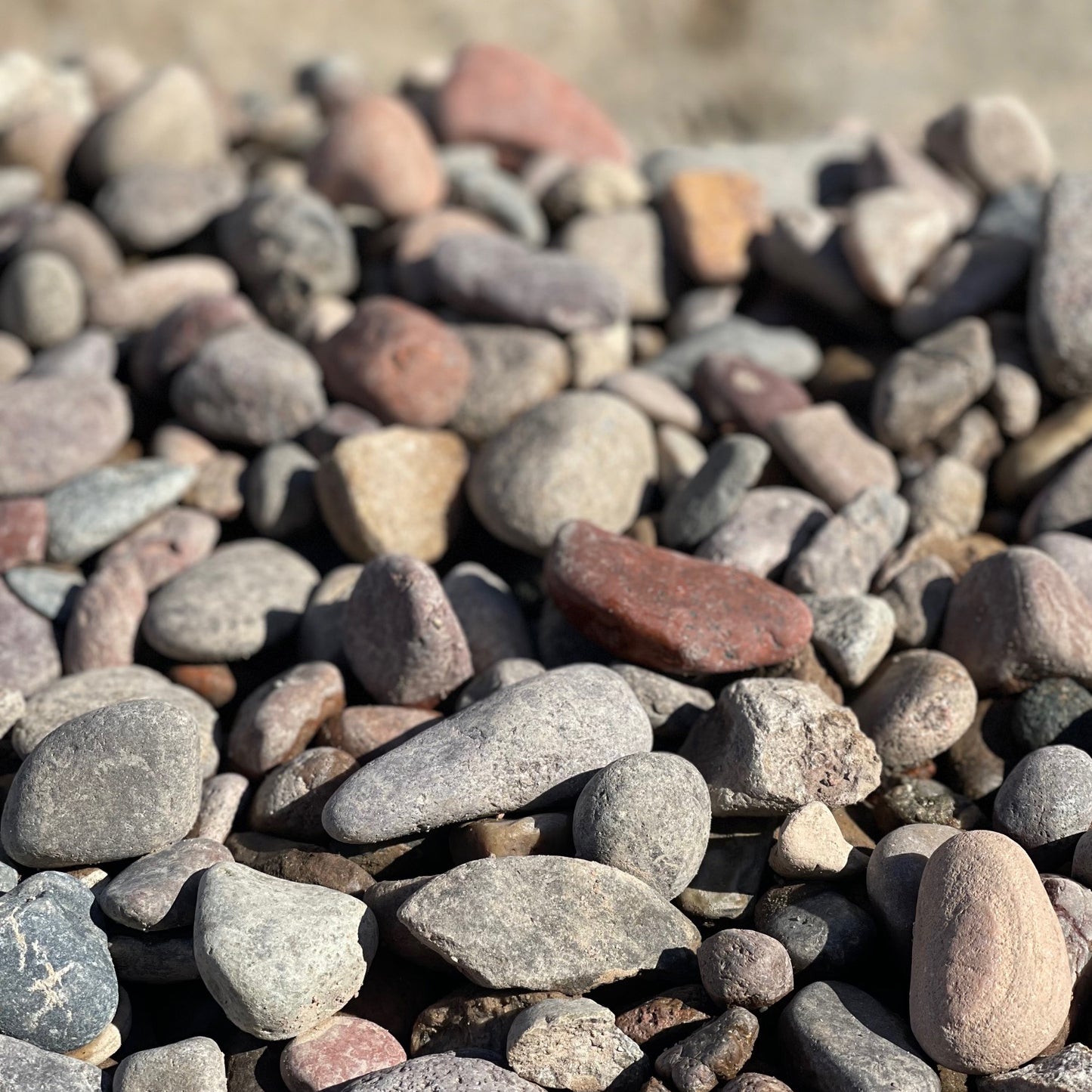 Arizona River Rock