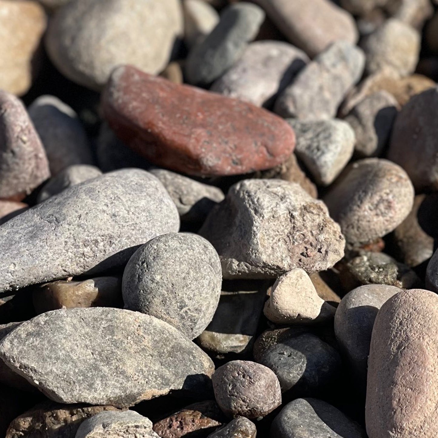 Arizona River Rock