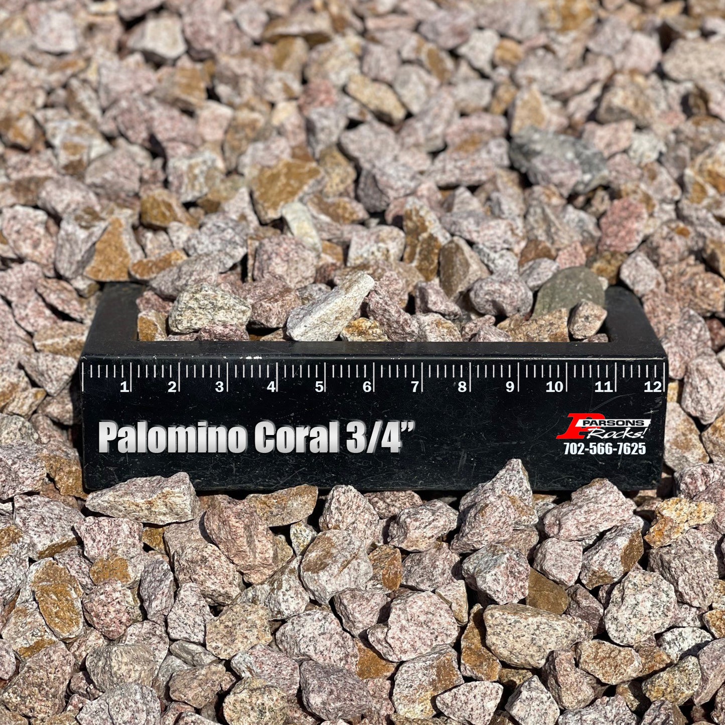 Palomino Coral
