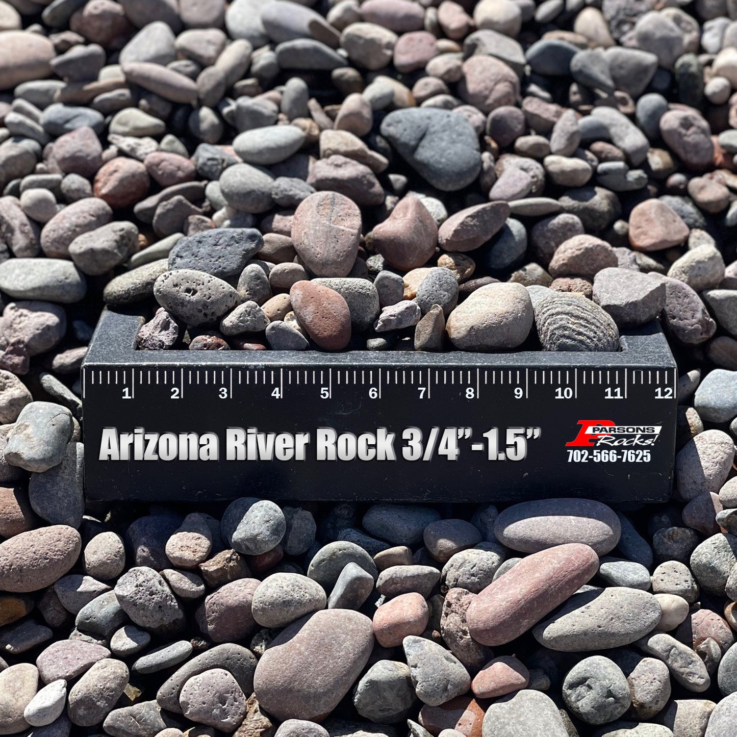 Arizona River Rock