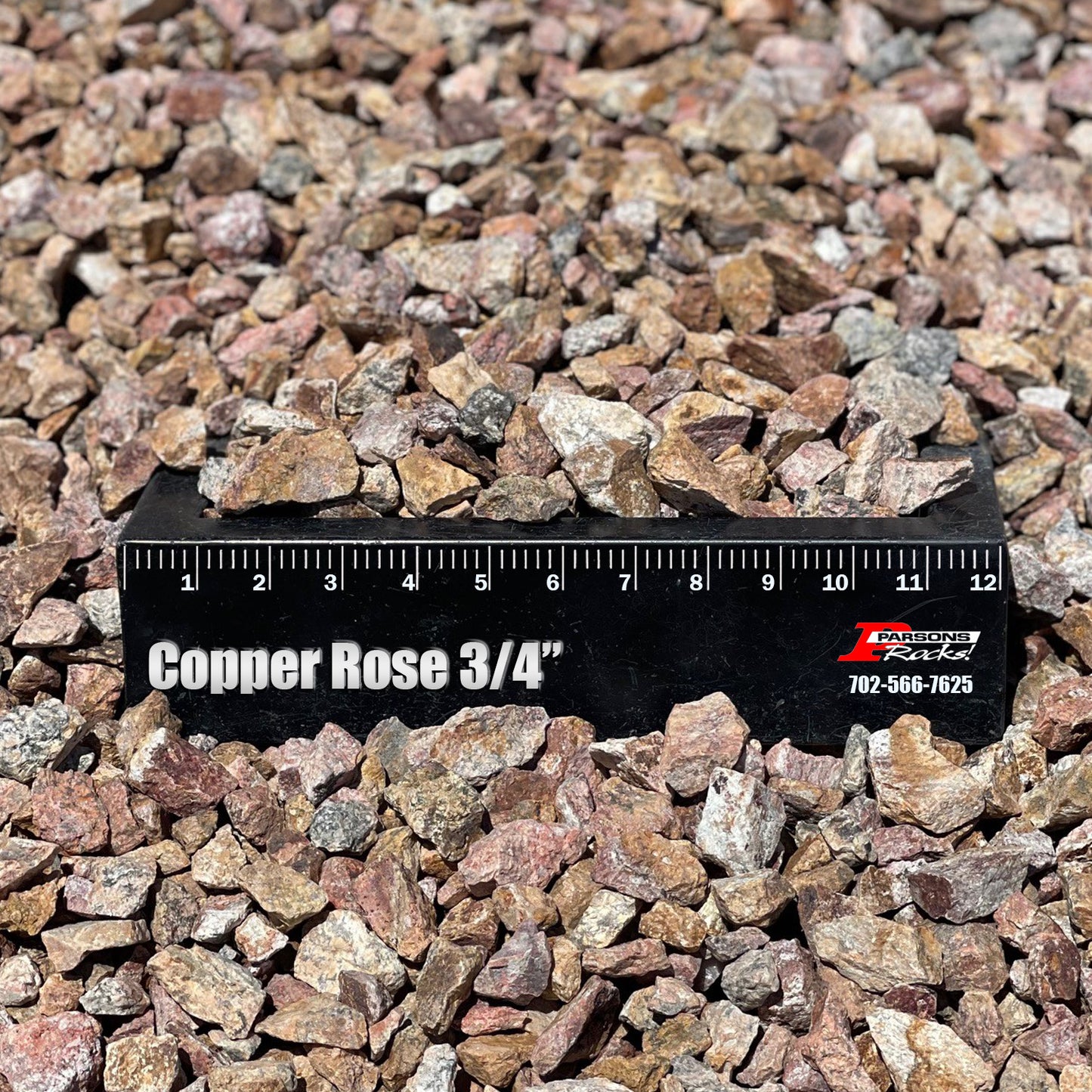 Copper Rose