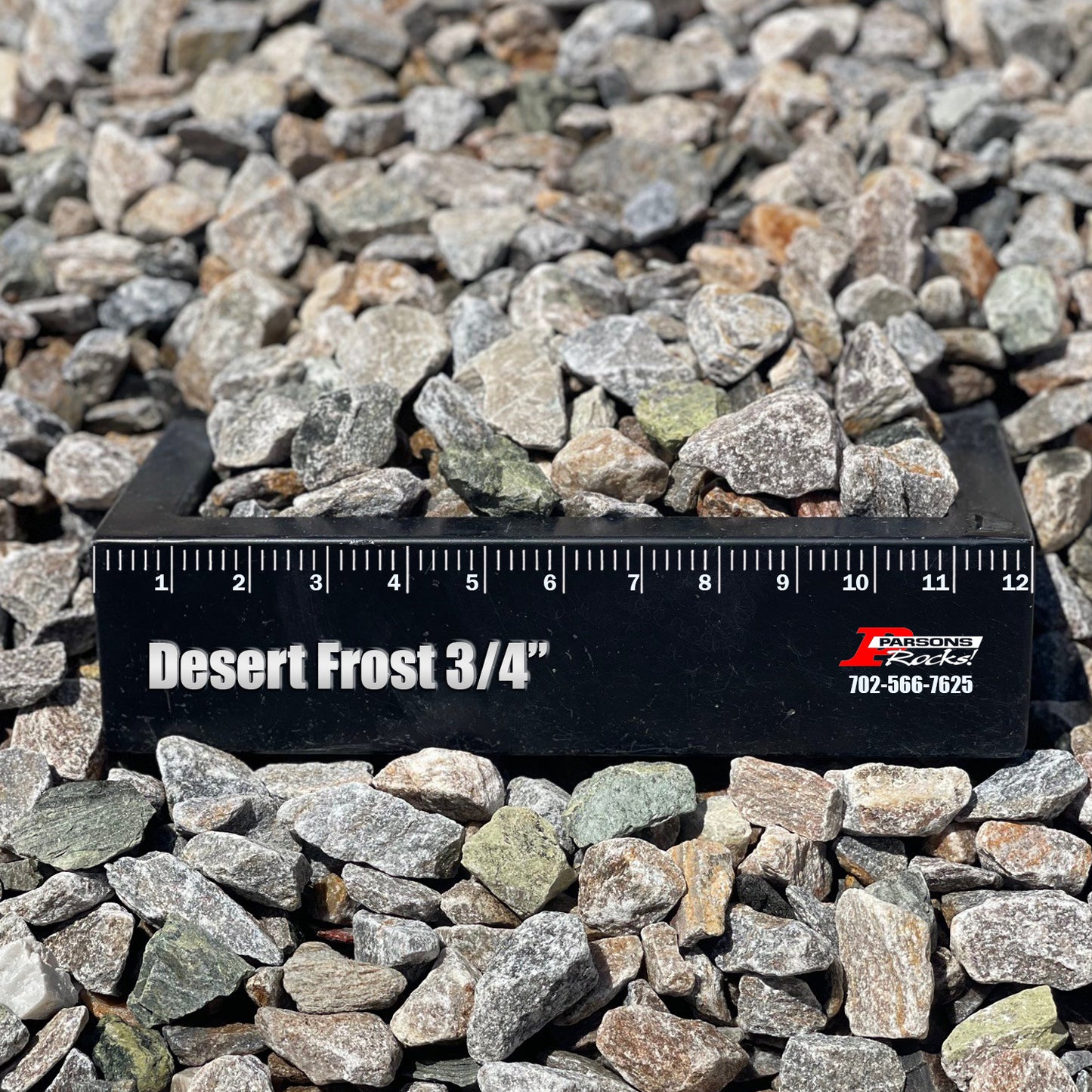 Desert Frost