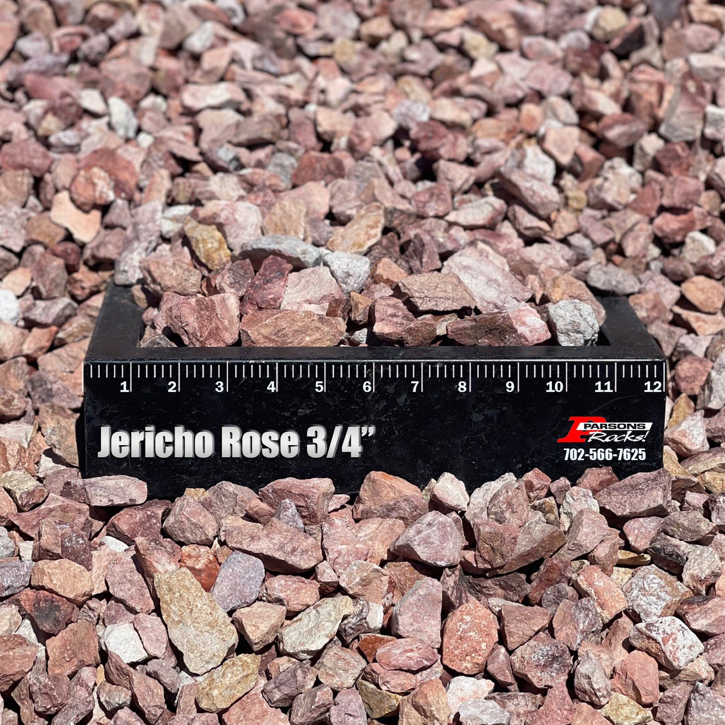 Jericho Rose