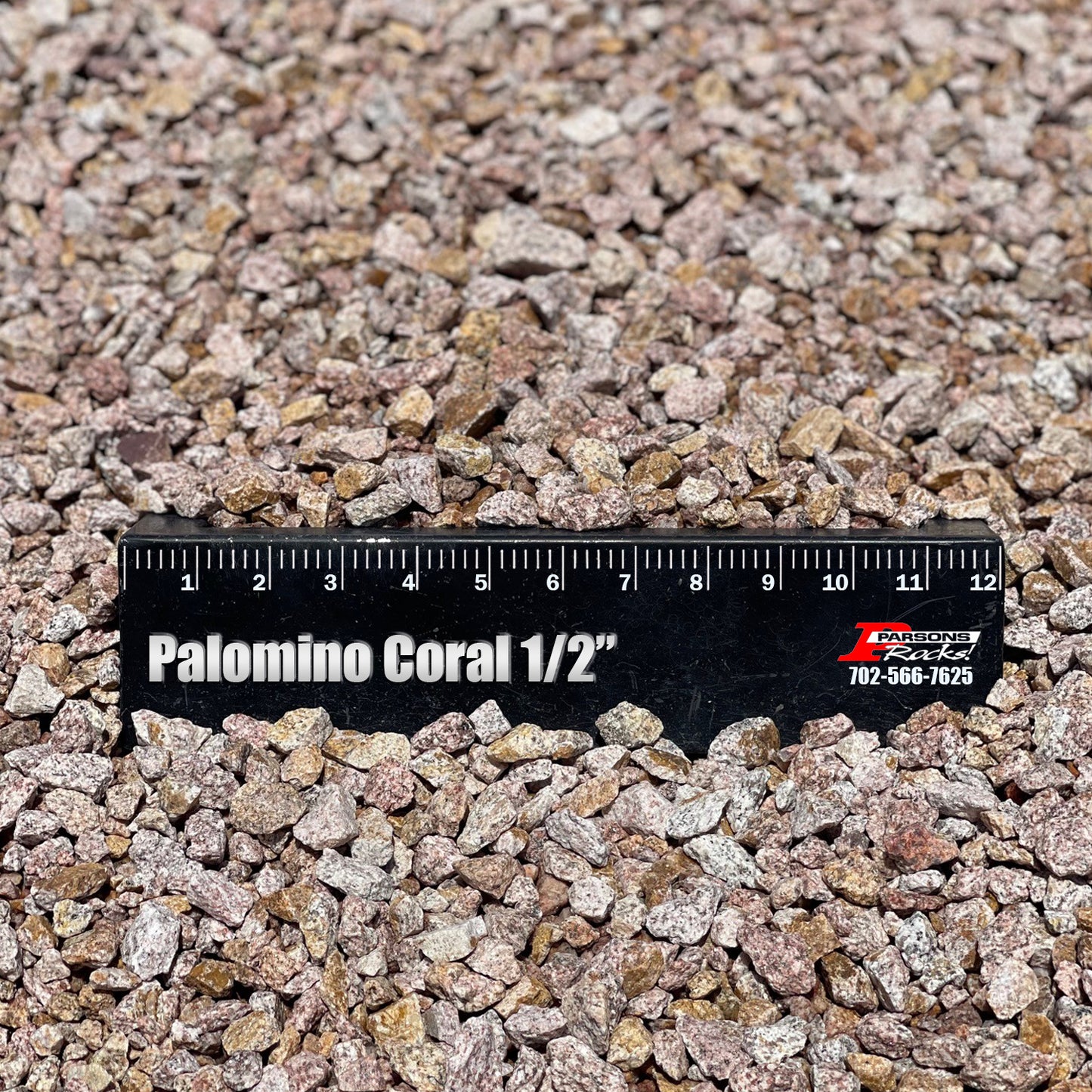 Palomino Coral