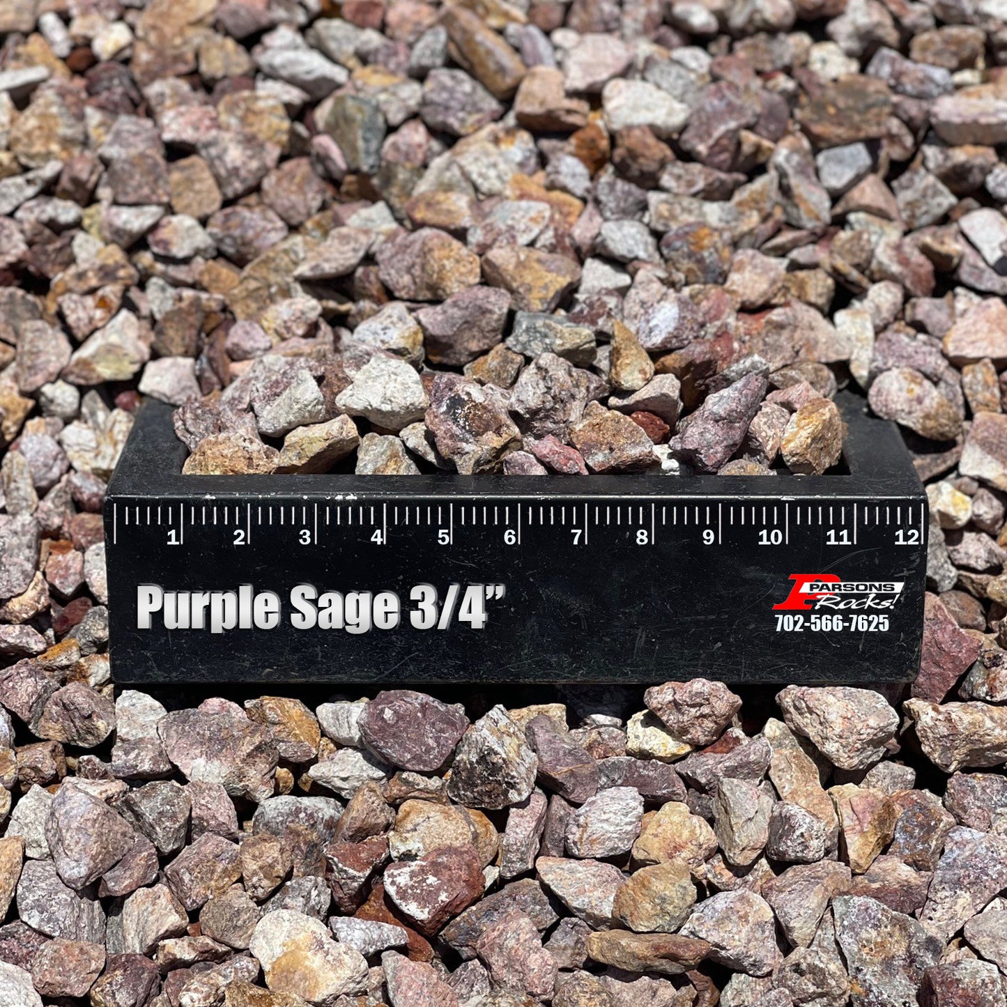 Purple Sage