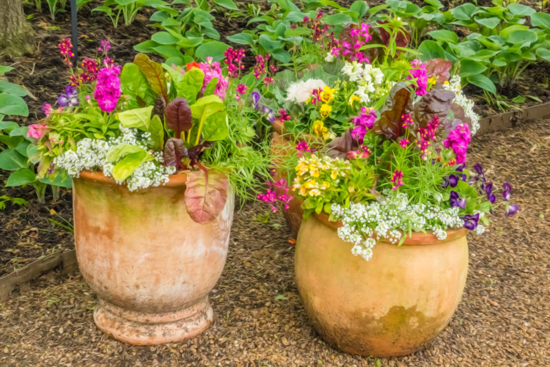 Three Tips on Picking the Right Garden Containers for Your Land