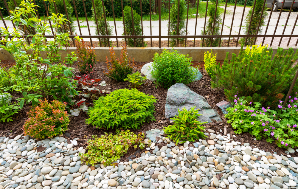 garden with landscaping rocks