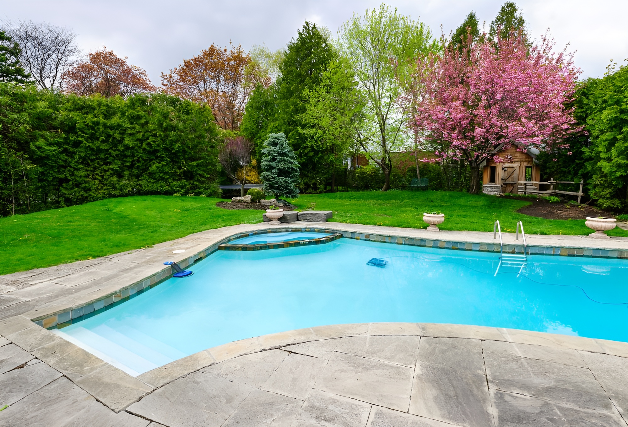 Rockscapes vs. Lawns Surprising Environmental Benefits of Going Desert-Friendly