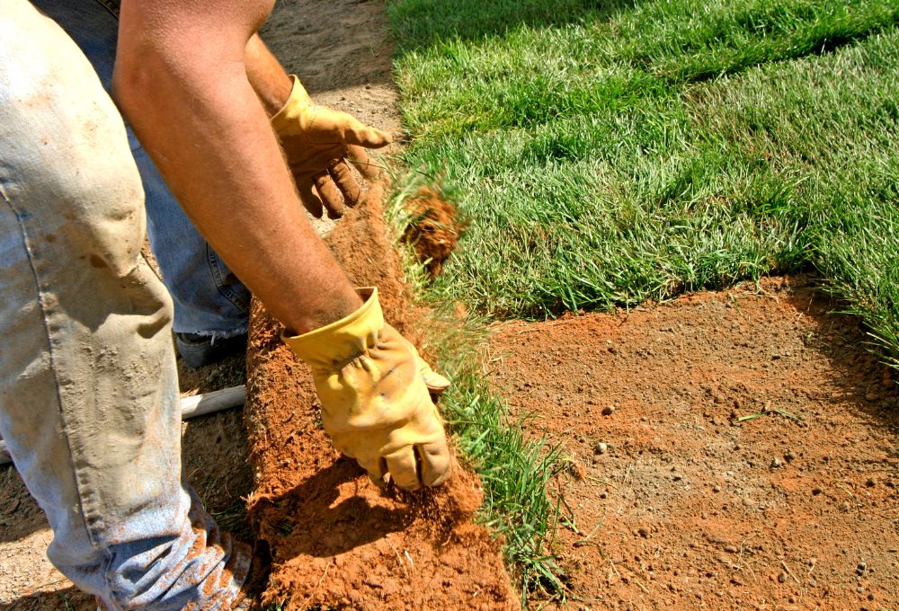 Las Vegas Landscaping Myths—Busted!